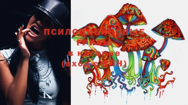 MESCALINE Карталы
