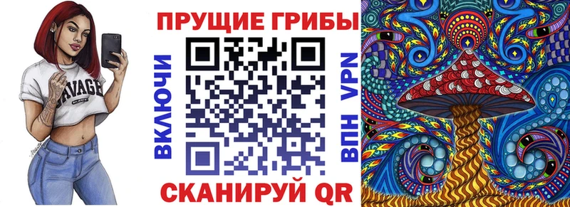 Купить закладки  Беломорск  Галлюциногенные грибы Psilocybine cubensis 